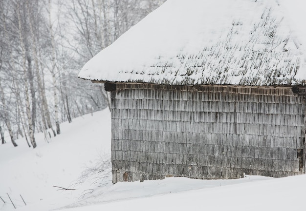 Een overvloedige sneeuwval in de Roemeense Karpaten in het dorp Sirnea,