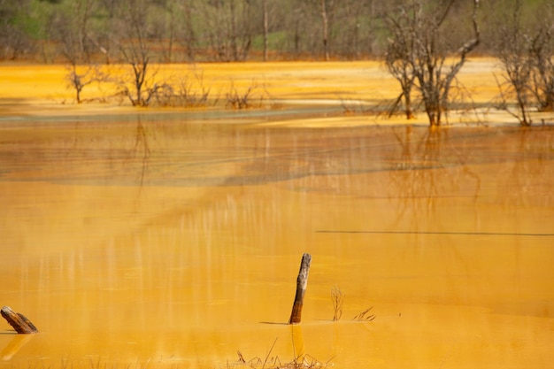 Een paal in een overstroomd veld is omgeven door bomen en het water is oranje.