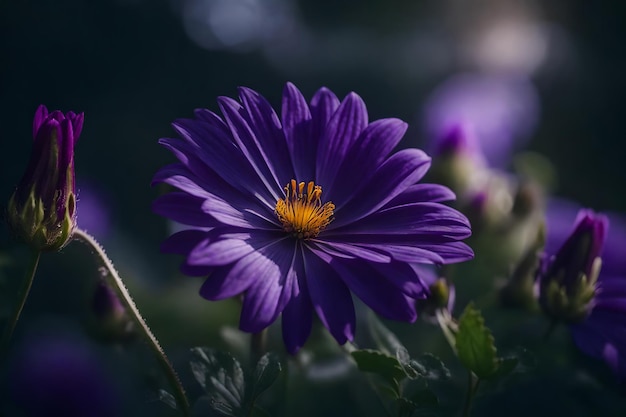 Foto een paarse bloem met het woord wild op de achtergrond