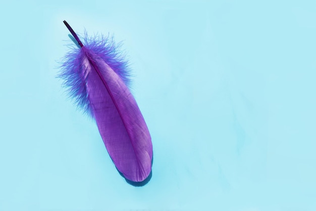 Foto een paarse veer drijft op een blauwe achtergrond.