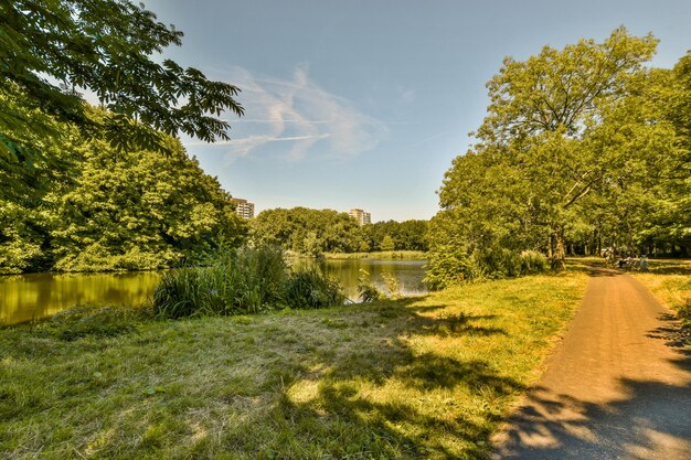 Foto een pad bij een meer in een park met bomen