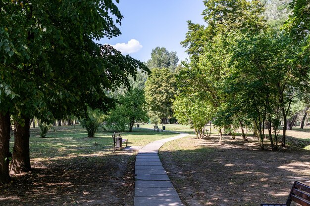 Een pad door een park met bomen en een pad dat ertoe leidt.