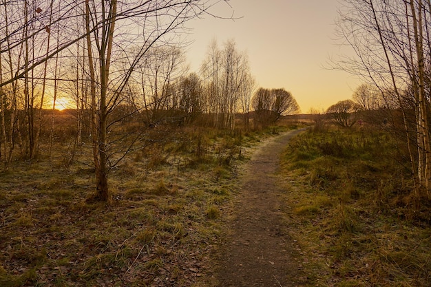 Een pad in het bos in de vroege winter bij zonsondergang met de vorst op het gras