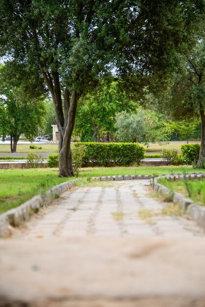 Een pad leidt door het park vanaf een rustplaats op de snelweg van Lahore naar Islamabad