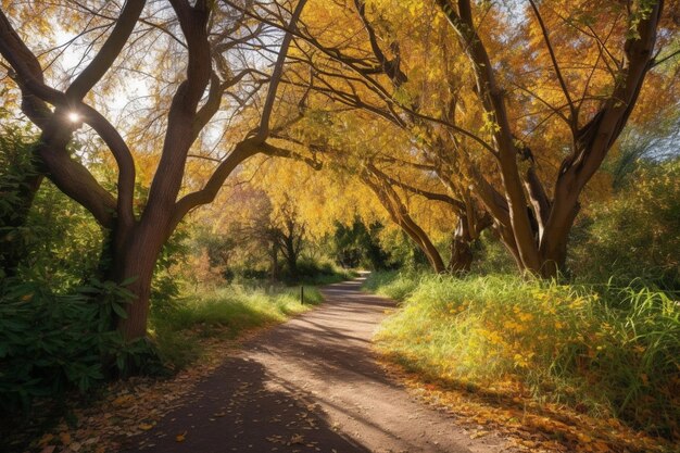 Een pad met bomen en bladeren waar het woord herfst op staat