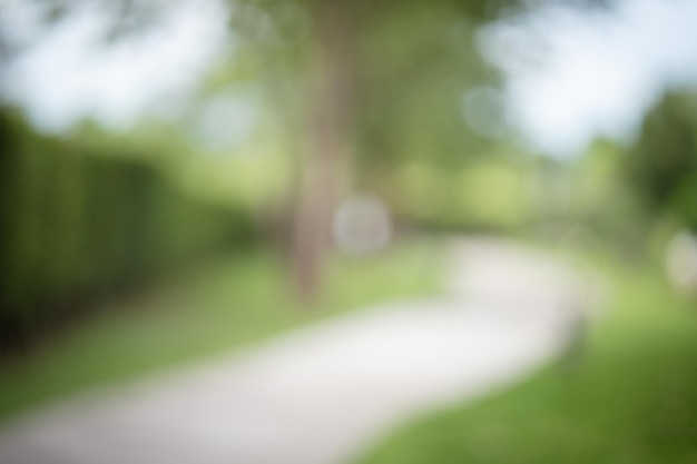 Een pad met bomen en een wazige achtergrond