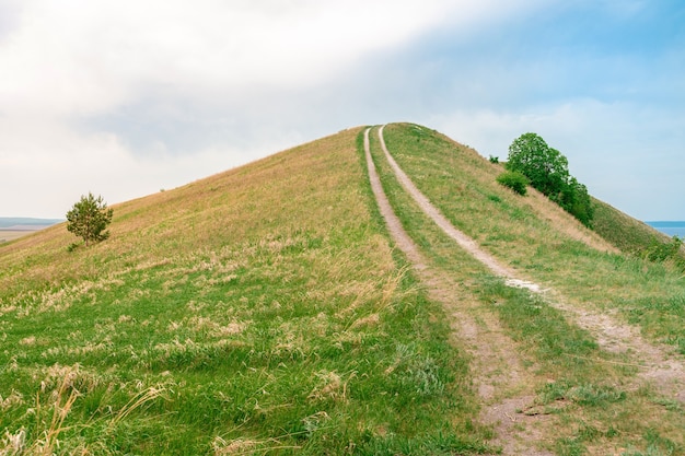 Foto een pad midden in de groene weiden een heerlijk zomers landschap