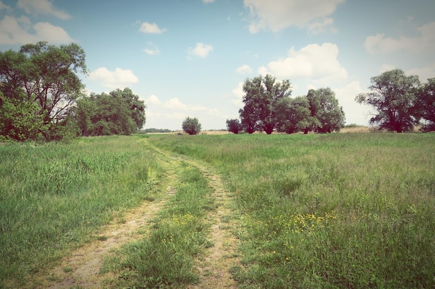Een pad midden in een grasveld tegen de lucht.