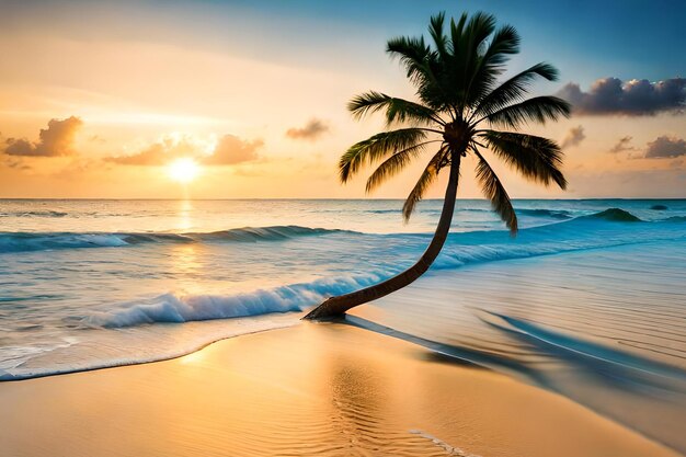 Een palmboom op het strand bij zonsondergang