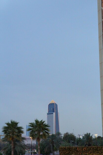 Foto een palmboom staat voor een gebouw met een bord dat zegt nee