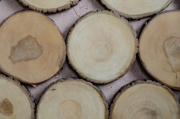 Een paneel aan de wand van gezaagd hout met jaarringen.