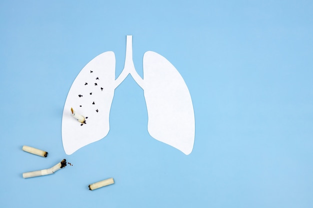Een papieren model van de aangetaste menselijke longen en gerookte sigaretten