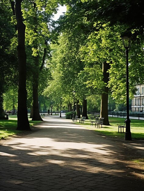 een park met bankjes en bomen op een zonnige dag