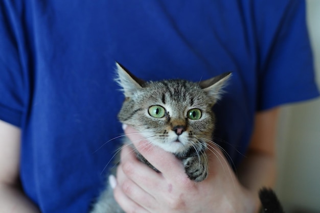 Een persoon die een kat vasthoudt met een blauw shirt aan.