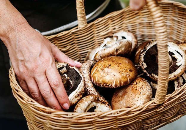 Een persoon die portobello-paddestoel opneemt