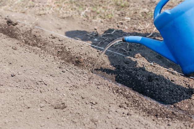 Foto een persoon geeft een tuinbed water met een tuinslang.