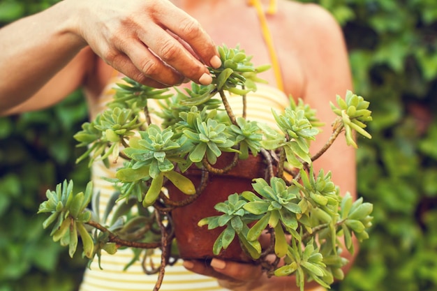 Een persoon houdt een pot vast met een plant erin.