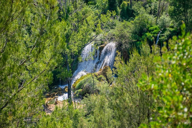 Een pittoreske waterval stroomt in een dicht groen bos