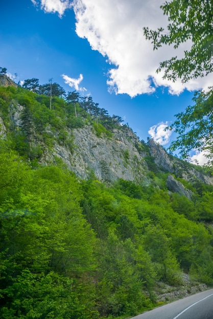 Een pittoreske weg loopt door de bergen en canyons in Montenegro