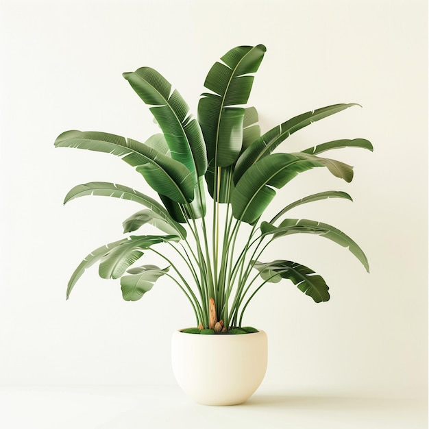Foto een plant in een witte pot met een groene plant erin
