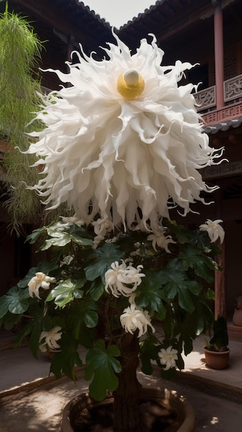 Een plant met een witte geveerde bloem