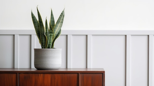 Een plant op een houten kast in een woonkamer