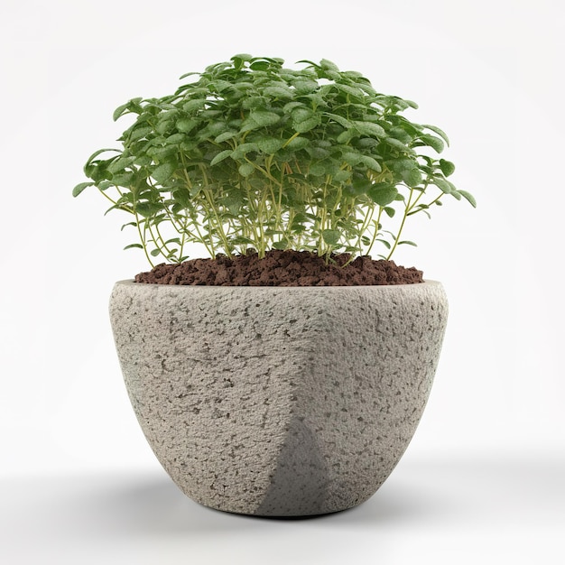 Een plantenpot met een cementen voet en een plant erin.