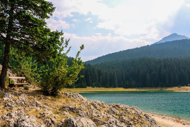 Een plek voor meditatie in de natuur Zwart meer in Durmitor National Park Montenegro