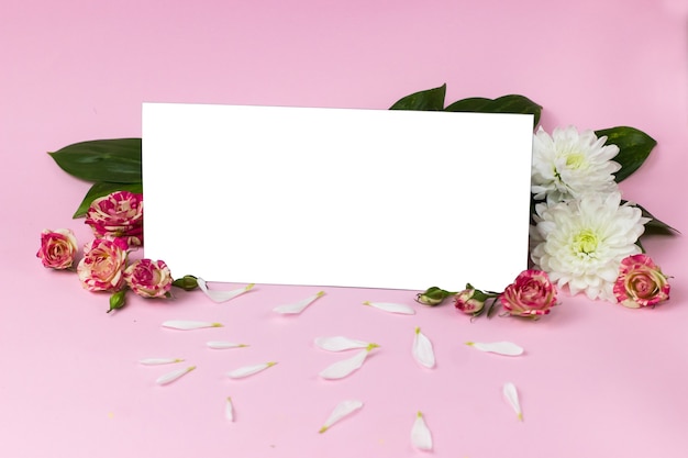 Een plek voor tekst. Ansichtkaart tegen de achtergrond van kleine rozen en chrysanten. certificaat
