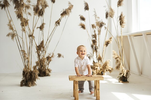 Een portret van een kleine vrolijke jongen op een witte achtergrond met riet