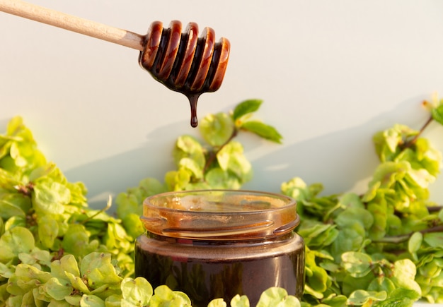 Een pot chocolade honing met lepel op witte achtergrond met groene takken