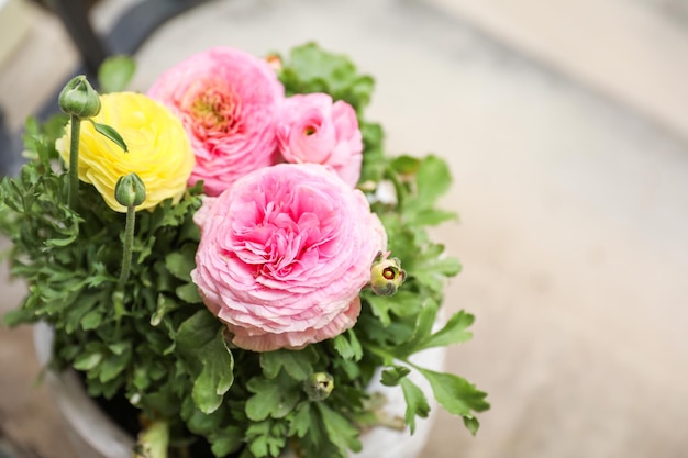 Een pot met bloemen met een groene plant in het midden