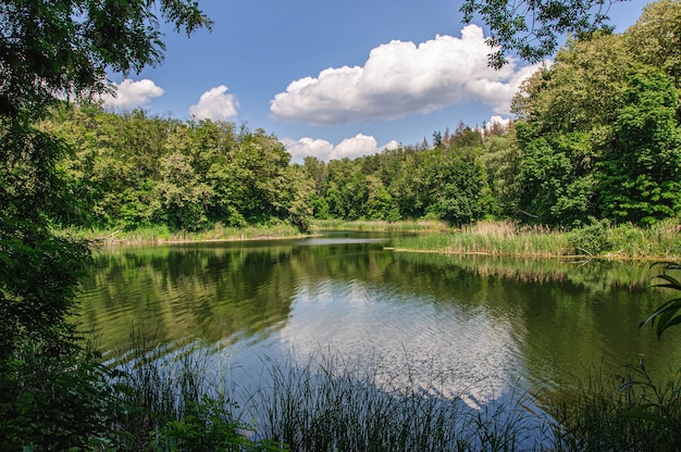 Een prachtig bosmeer omringd door bloeiende acacia en riet Oekraïne