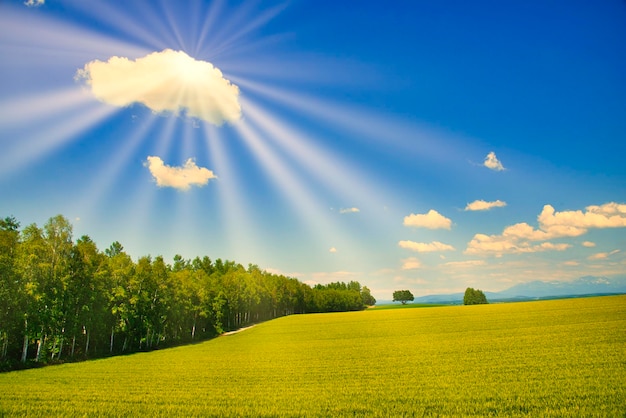 Foto een prachtig landelijk landschap van de stad biei