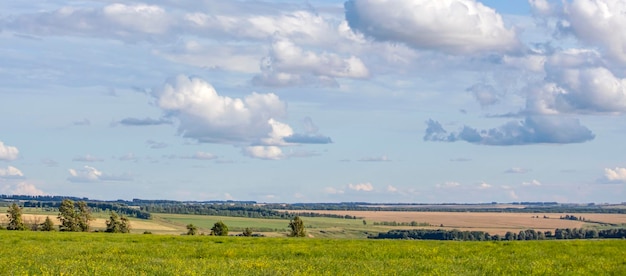 Een prachtig landschap van bloeiende eindeloze velden en groene bossen