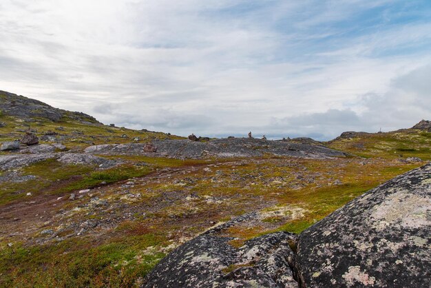 Een prachtig landschap van de Noordzeekust met stenen bedekt met kleurrijk mos. Teriberka, Barentszzee, regio Moermansk, schiereiland Kola