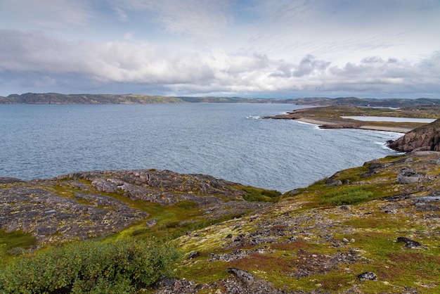 Een prachtig landschap van de Noordzeekust met stenen bedekt met kleurrijk mos. Uitzicht vanaf de berg.Teriberka, Barentszzee, regio Moermansk, schiereiland Kola
