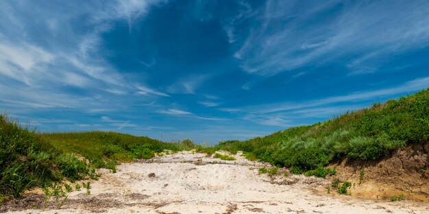 Een prachtig mooi landschap is groen en een weg met zand leidt naar de hemel Zomer en natuur