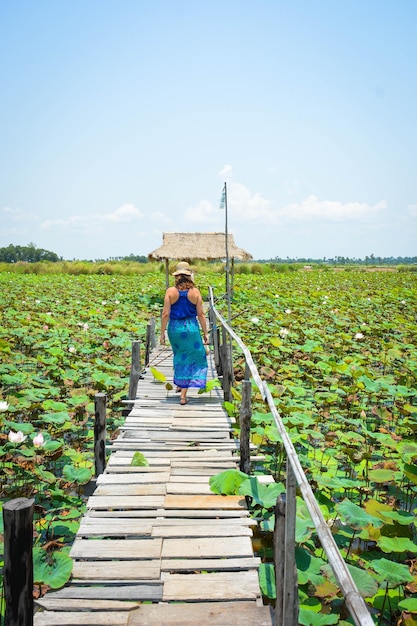 Een prachtig panoramisch uitzicht op Siem Reap in Cambodja