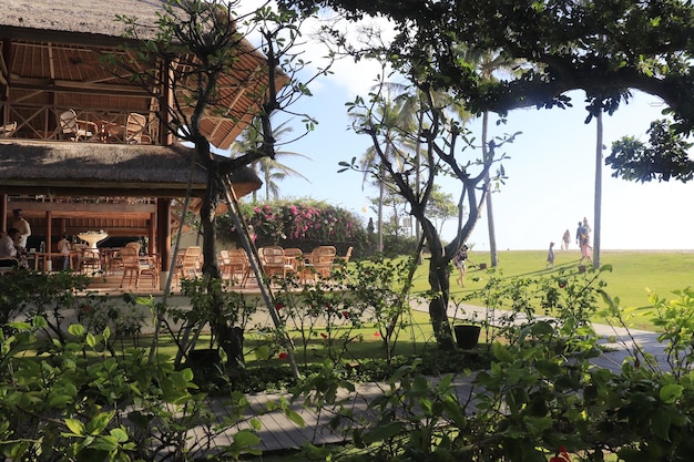 Een prachtig panoramisch uitzicht over Bali Indonesië