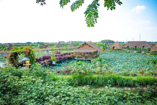 Een prachtig panoramisch uitzicht over de stad Siem Reap in Cambodja