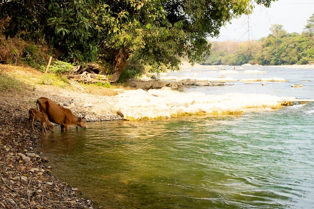 Een prachtig panoramisch uitzicht over de stad Vang Vieng in Laos