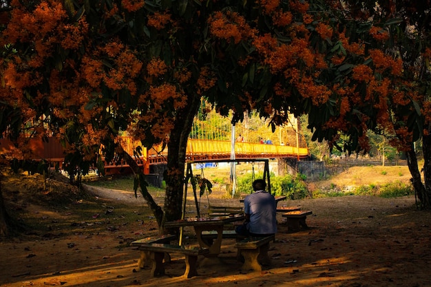 Een prachtig panoramisch uitzicht over de stad Vang Vieng in Laos