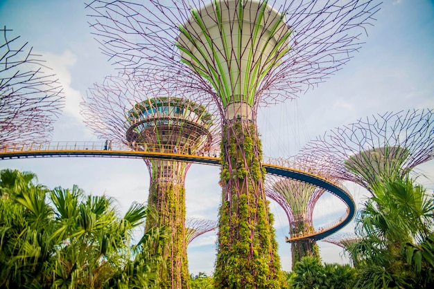 Een prachtig panoramisch uitzicht over Singapore