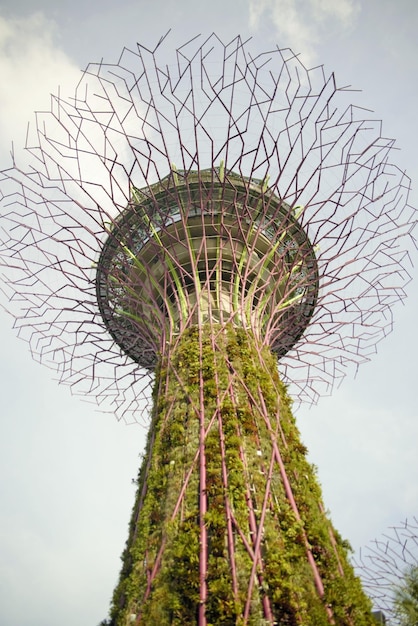 Een prachtig panoramisch uitzicht over Singapore