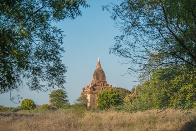 Een prachtig uitzicht op boeddhistische tempels in Bagan Myanmar