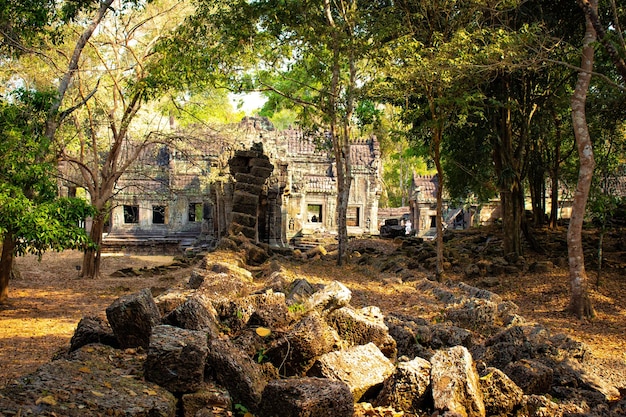 Een prachtig uitzicht op de Angkor Wat-tempel in Siem Reap, Cambodja