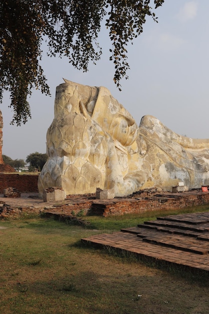 Een prachtig uitzicht op de boeddhistische tempel Wat Lokaya Sutharam in Ayutthaya Thailand