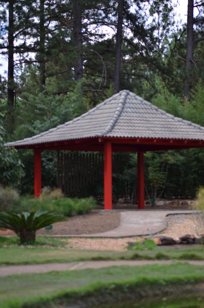 Een prachtig uitzicht op de botanische tuin in Brasilia, Brazilië