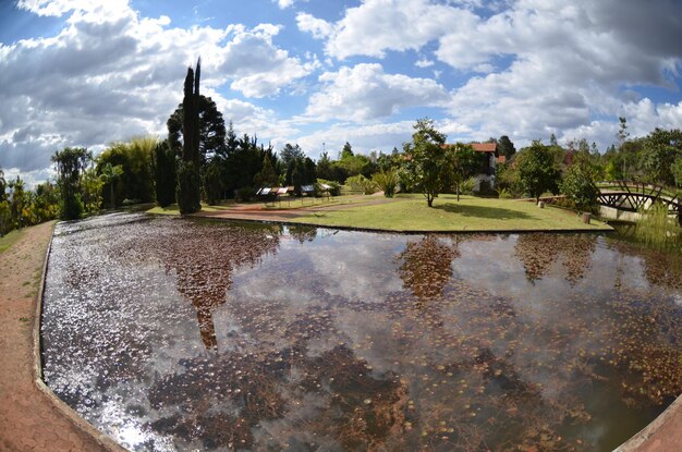 Een prachtig uitzicht op de botanische tuin in Brasilia, Brazilië